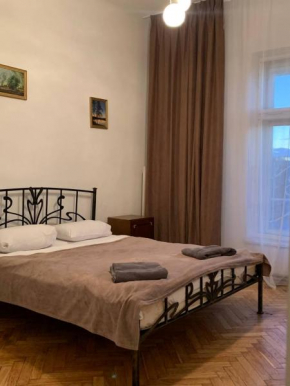 Apartament on Halytska street